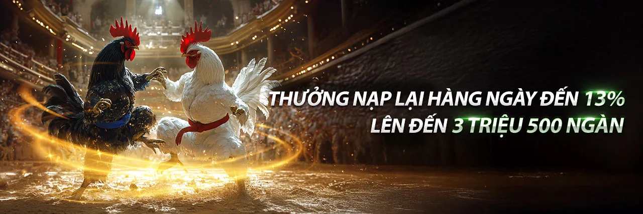 Đá Gà Trực Tuyến Hấp Dẫn tại hbet app